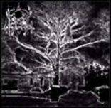 Realm Of Carnivora : Vikati Vari Te Palgel, Saabub Aeg Ja Teras Langeb... Vengeance Shall Come